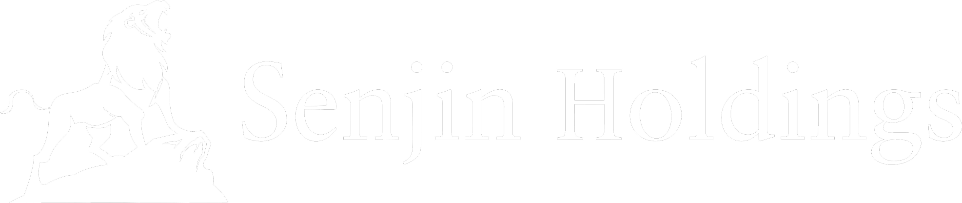 Senjin Holdings
